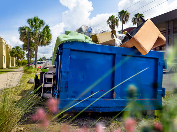Best Hoarding Cleanup  in Elkins, WV